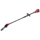 Potatore telescopico a batteria